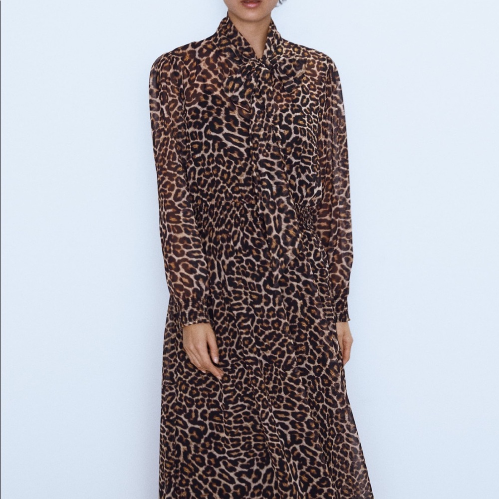 Zara animal print dress - Picture 2 of 9